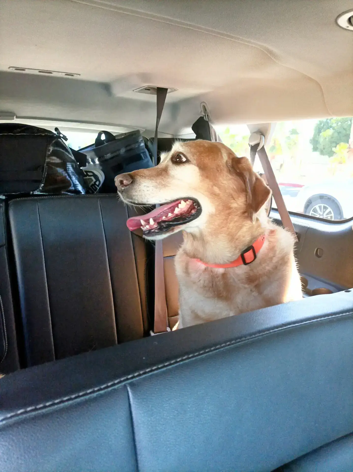 ONE WAY Sector 2 (FBO)